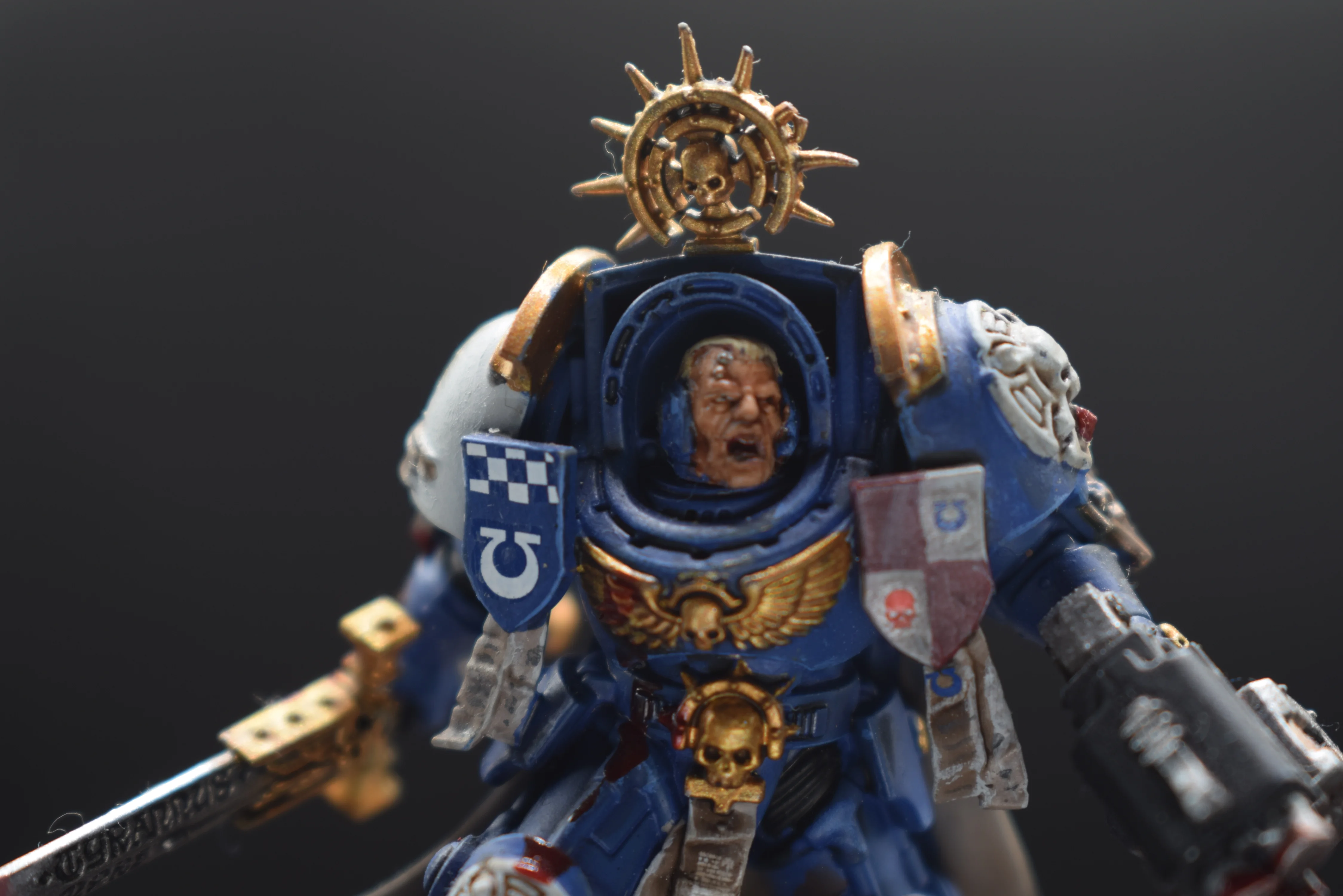 Capitán Exterminador | Ver Artículo